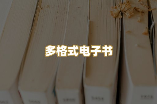 多格式电子书